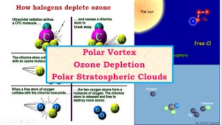 C22Polar VortexOzone HoleOzone DepletionPolar Stratospheric Clouds  Geography Environment [upl. by Scornik781]