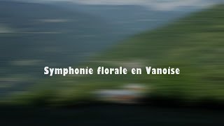 Symphonie florale en Vanoise [upl. by Kreitman]