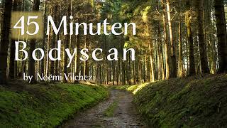 Bodyscan 45min  Zonder Muziek  Mindfulness meditatie  45 minuten  geleide  oefening [upl. by Goeselt973]