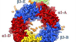 GABAA receptor structural pharmacology [upl. by Philine]