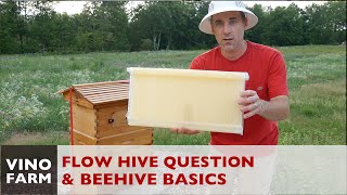 Flow Hive Reality  Where are the Flow Frames  Beekeeping 101 [upl. by Ytteb]