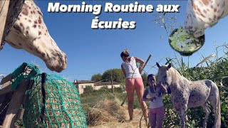 MA MORNING ROUTINE avec mon cheval AVEUGLE et ASTHMATIQUE [upl. by Aizatsana]