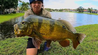 INSANE South Florida Fishing [upl. by Esille647]