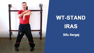 3 Fehler im Wing Tsun Stand quotIRASquot [upl. by Nnarual]