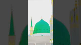 comedy lailahaillallahmuhammadurrasullah love islamicgreeting duet [upl. by Justicz172]