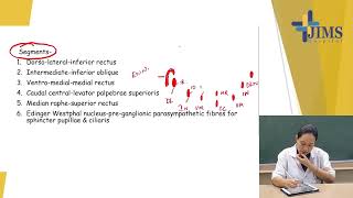 Topic  Oculomotor Nerve [upl. by Akenet]