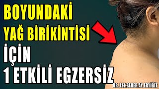 BOYUNDAKİ YAĞ BİRİKİNTİSİ İÇİN 1 ETKİLİ EGZERSİZ aktifizyo boyunağrısı [upl. by Ahterod963]