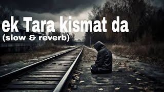 Ek Tara kismat da slow amp reverb ek Tara kismat da tutya kinare de song [upl. by Nie]