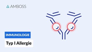 Soforttypreaktion Typ I Allergie  Biochemie  AMBOSS Video [upl. by Eitsym200]