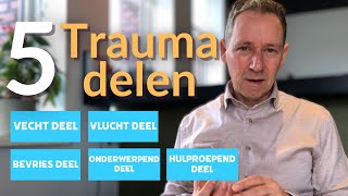 5 Trauma delen die je innerlijke kind willen redden [upl. by Leafar]