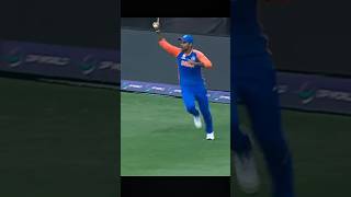 T20 World Cup 2024 ke 5 khataranak Catch  Top 5 Catch World Cup 2024 cricket youtubeshort [upl. by Ydnih104]