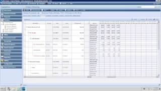 CCG  Deltek Vision Resource Planning with Navigator Live Demo  QampA [upl. by Leandre]