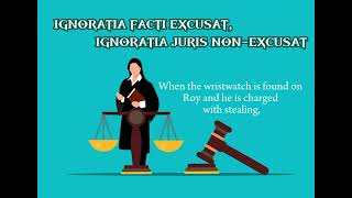 IGNORATIA FACTI EXCUSAT IGNORATIA JURIS NON EXCUSAT [upl. by Eiram]