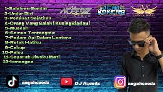 DUGEM TOP 2024 VOL 2  DJ Aceedz  DUGEM MUSIC [upl. by Esialb]