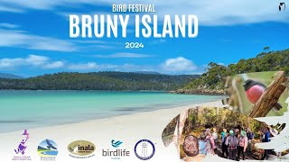 BRUNY ISLAND BIRD FESTIVAL 2024  PART 44 [upl. by Niliak]