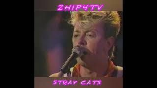 STRAY CATS 1988 Music Video VHS PULL musicvideo youcut vhs 80s music straycats [upl. by Yurik372]