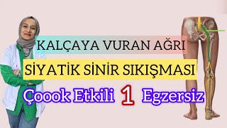 KALÇAYA VURAN AĞRI için çoook etkili TEK Egzersiz  Siyatik Sinir Sıkışması  Priformis Sendromu [upl. by Vez]