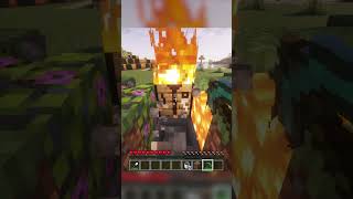 2 Minecraft Hacks That Actually Works [upl. by Coletta]