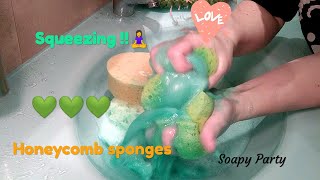 ASMR Squeezing honeycomb sponges w white floor cleaner that dye green Rinse💦💦 [upl. by Serrell]