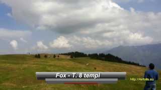 Slope soaring RC GLIDER ABm FOX SWIFT DISCUS  MONTE AVENA RELOADED [upl. by Gurl414]