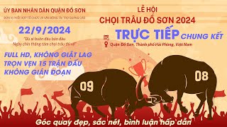 🔴22924 CHUNG KẾT LỄ HỘI CHỌI TRÂU ĐỒ SƠN 2024 choitraudoson choitrau choitrau2024 [upl. by Asiaj]