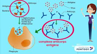 Réaction immunitaire spécifique [upl. by Ladnyk]