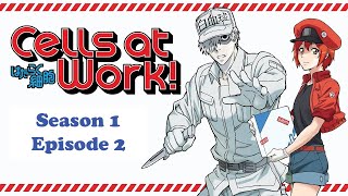 Cells at Work S1 Ep2 Platelets Cell Cuteness Overloaded [upl. by Eniawd]