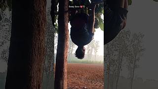 Territorial army morning training 😱 shortvideo ytshorts armylover taarmybharti2024 nsgcommando [upl. by Snehpets341]