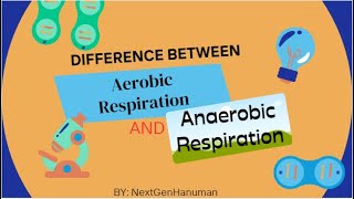 Difference between aerobic respiration and anaerobic respiration [upl. by Maurene898]