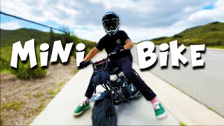 Wicked Fast Mini Bike [upl. by Hanoj]