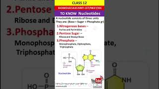 nucleosidebiomoleculespyq [upl. by Ennaxxor]