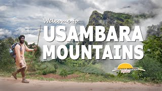 Hiking at the Usambara Mountains with Tanzania Horizon Safaris [upl. by Graeme]