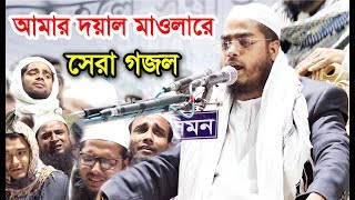 আমার দয়াল মাওলারে হাফিজুর রহমান সিদ্দিকীর সেরা গজল। Hafizur Rahman Siddiki New Gojol 2019 [upl. by Robinet]