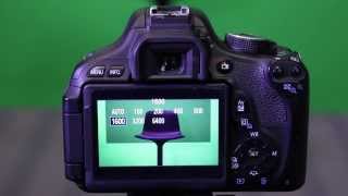 ISO Aperture amp Shutter Speed  Understanding Exposure W the Canon T3i [upl. by Rufford857]