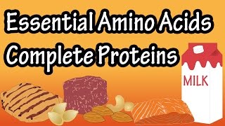 What Are Complete Proteins Incomplete Proteins Essential Amino Acids Non Essential Amino Acids [upl. by Leina]