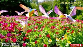 Little Birds Song  Childrens Music [upl. by Galan702]