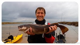 Catch Of the Day  Kayak fishing Scotland [upl. by Esened27]