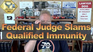 Federal Judge Slams Qualified Immunity [upl. by Fazeli]