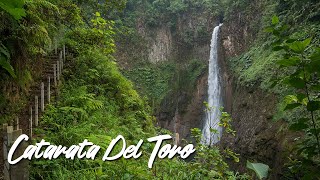 Catarata Del Toro Waterfall in Costa Rica  Alajuela Province [upl. by Yebba46]