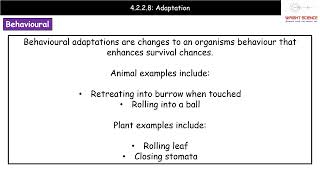 A Level Biology  4228  Adaptation [upl. by Hayyikaz]