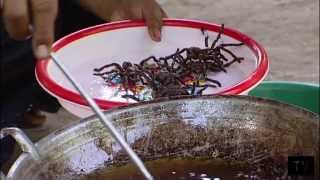 Cooking tarantula spiders and the Cambodian Royal Ballet [upl. by Laehcor]