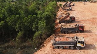 Large Landfilling Project Hardly Work Of Komatsu Dozer Push Big Stone To Filling Up With Dump Trucks [upl. by Nekcarb]