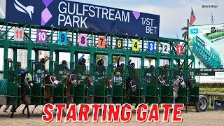 Día de clásicos en Gulfstream Park y Tampa Bay Downs  Análisis EN VIVO [upl. by Freddie260]