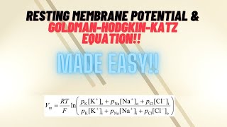 Physiology Membrane Potential and GoldmanHodgkinKatz Equation MADE EASY [upl. by Abagael]