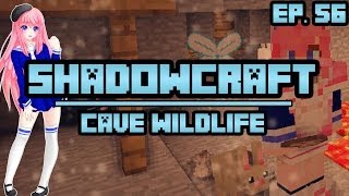 Cave Wildlife  ShadowCraft  Ep 56 [upl. by Esmaria]