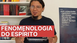 Hegel e a quotFenomenologia do Espíritoquot  dicas metodológicas e indicações bibliográficas [upl. by Alesram]