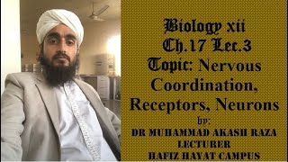 FSc Bio XII Ch17 Lec3 Nervous Coordination Receptors Neurons [upl. by Holtorf]