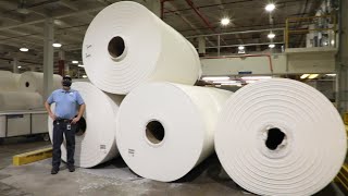 How Toilet Paper Is Made [upl. by Cedric]