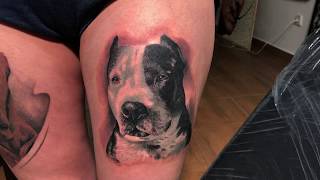 Realistic dog portrai  Tattoo time lapse [upl. by Beverle942]