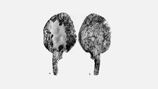 The Oldest Known Spoon and Spatula Gravettian 21000 years ago [upl. by Carolina]